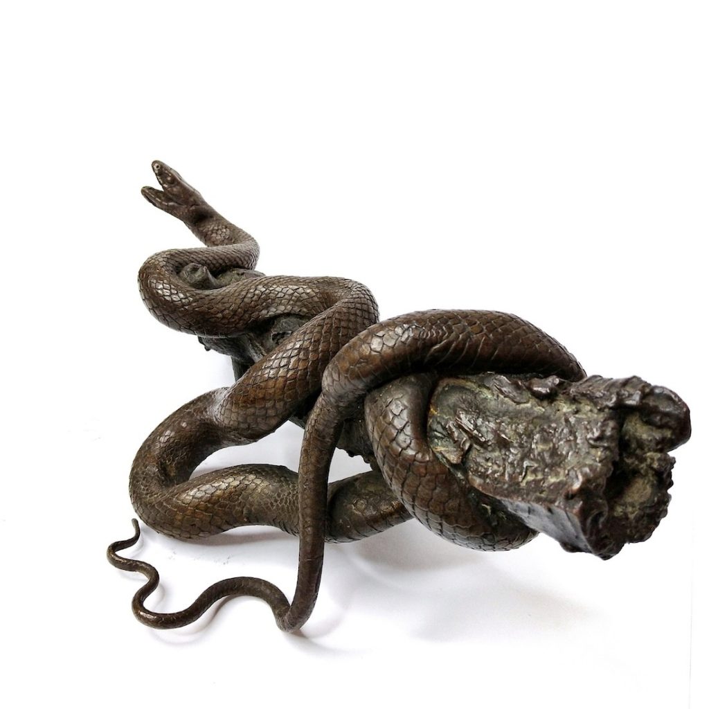Naturalistische Darstellung einer Schlange